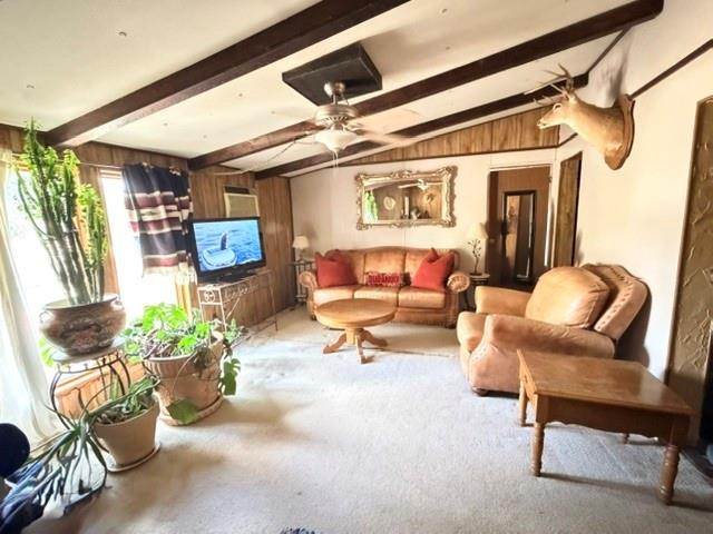 345 Butler Loop Property Photo 6