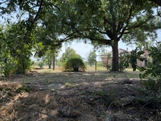 10074 County Road 200 Property Photo 17