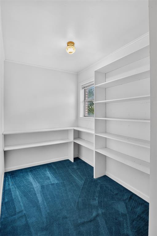 724 Pine Forest Drive Property Photo 28