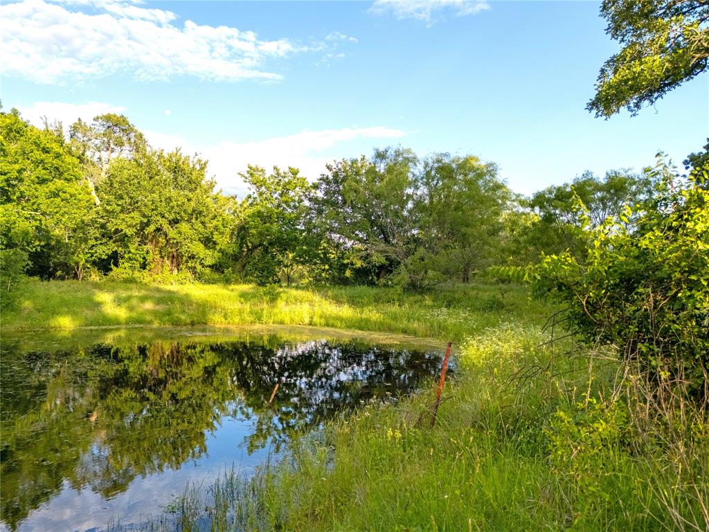 Tbd League Ranch Road Property Photo 27