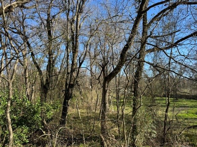 0 Maple Property Photo 1
