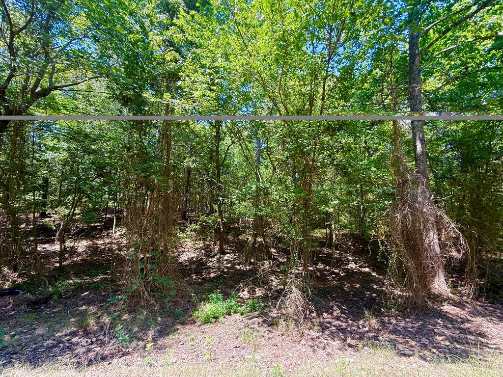0 Cr 1755 Property Photo 2
