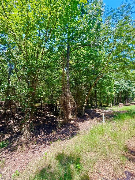 0 Cr 1755 Property Photo 3