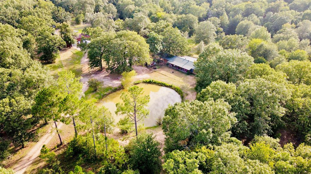 1167 County Road 44600 Property Photo 4
