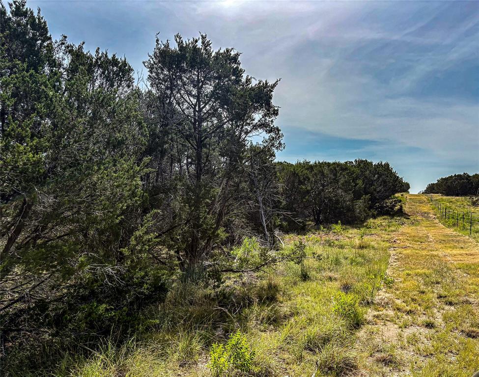 5075 Hwy 22 Property Photo 13