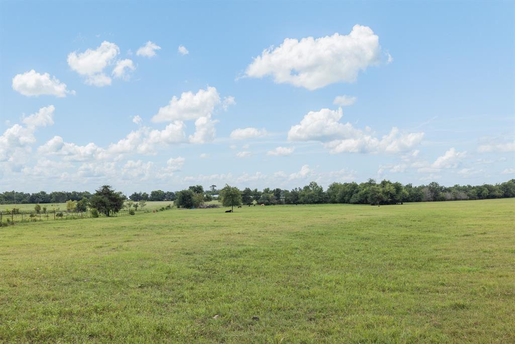 3738 Country Road 222 Property Photo 34