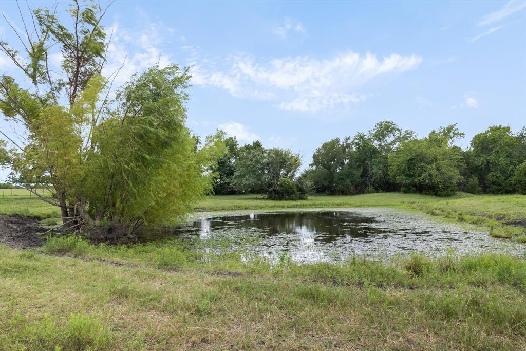 3738 Country Road 222 Property Photo 35