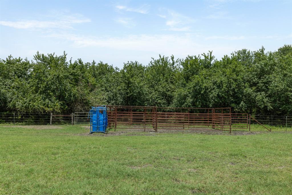 3738 Country Road 222 Property Photo 38
