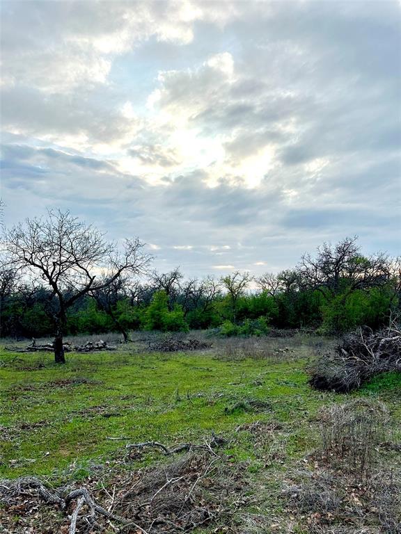 0000 Stage Coach Trail Property Photo 3