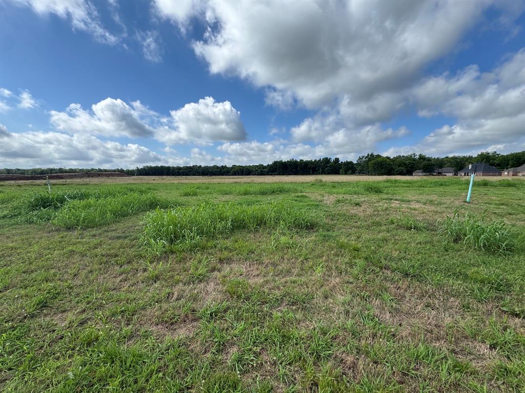 746 Duckwater Landing Property Photo 1