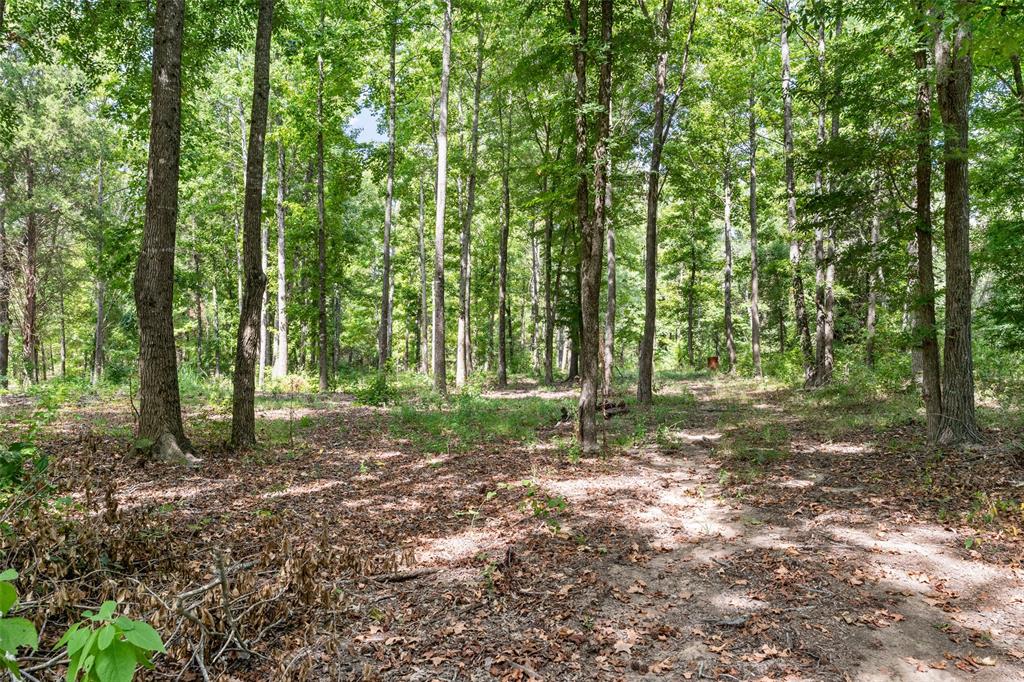 3374 Fm 1652 Property Photo 34