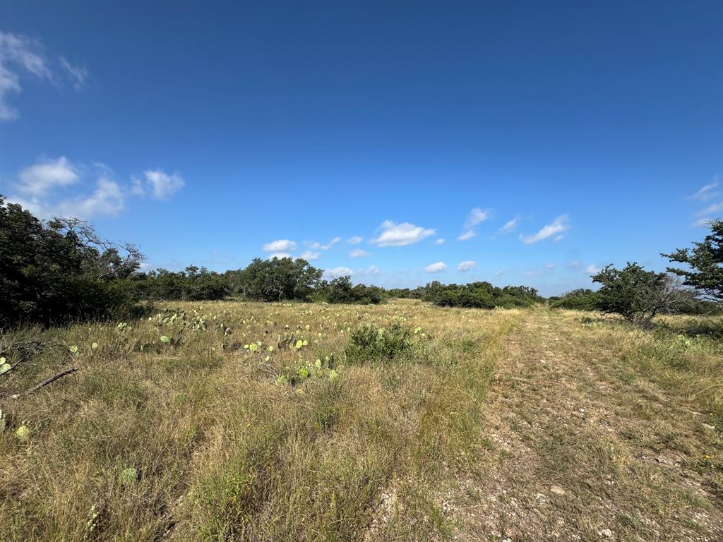 7770 Buck Ridge Road Property Photo 6