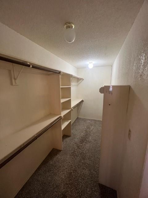 553 Raintree Circle Property Photo 13