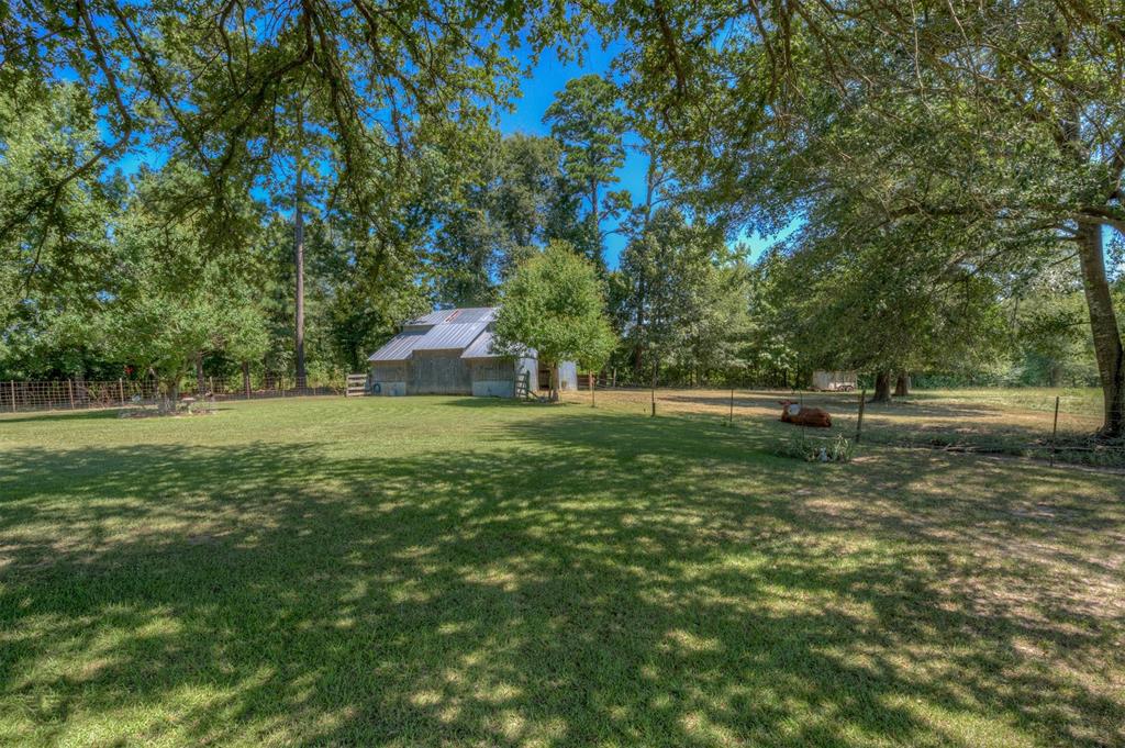 178 Padgett Road Property Photo 5