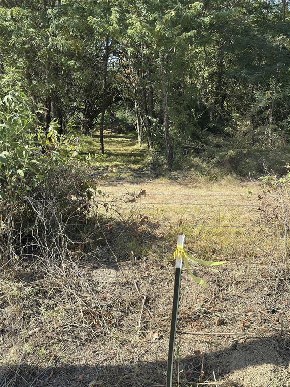 Tbd County Road 4744 Property Photo 6