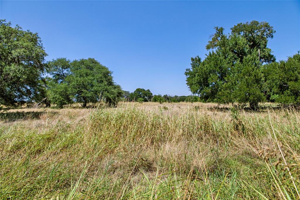 461 Grand Canyon Drive Property Photo 18