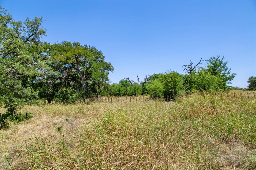 461 Grand Canyon Drive Property Photo 31