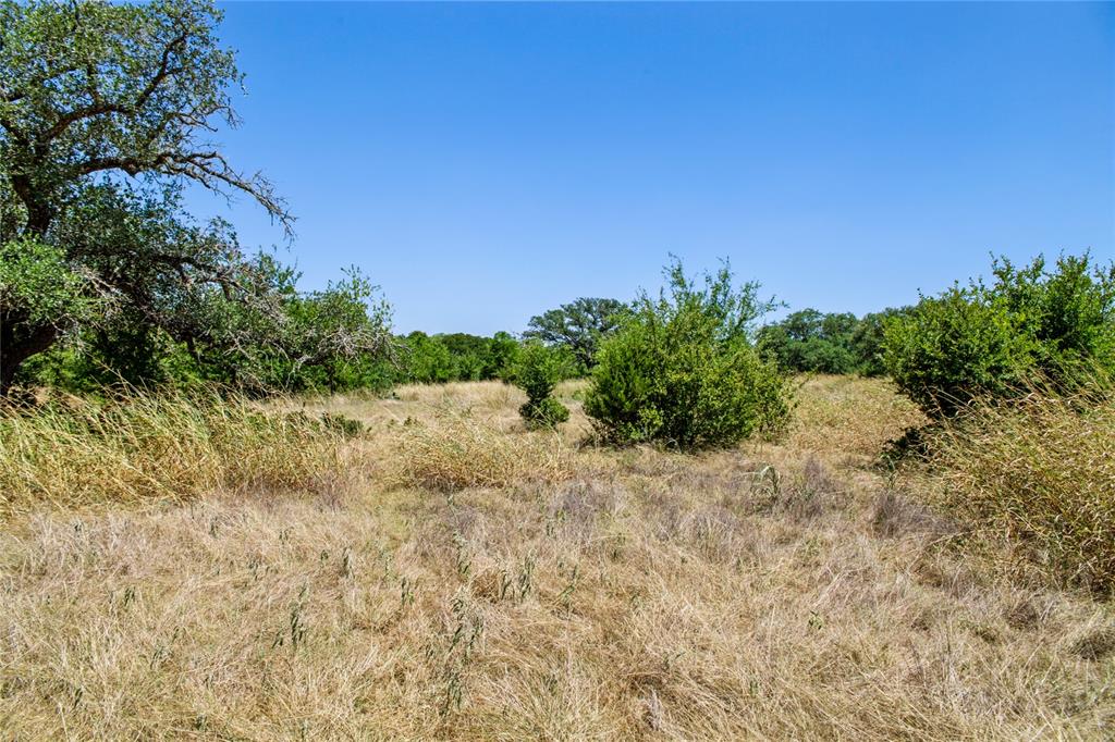 461 Grand Canyon Drive Property Photo 33