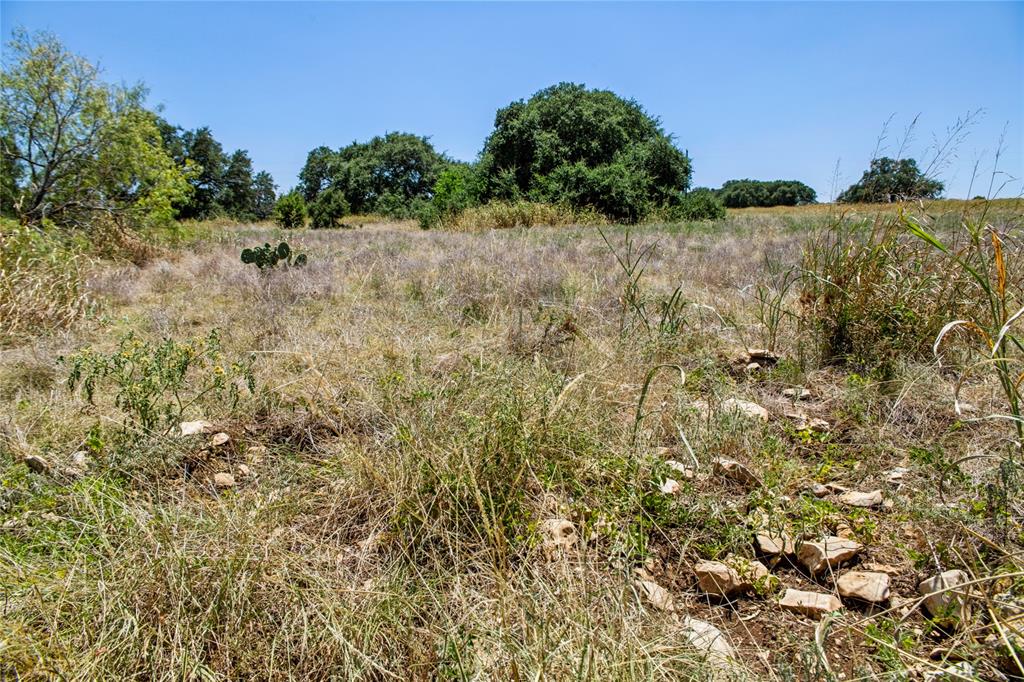 461 Grand Canyon Drive Property Photo 34