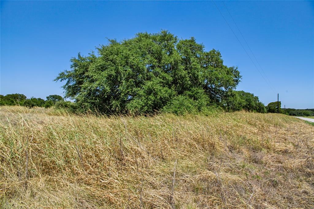 461 Grand Canyon Drive Property Photo 35