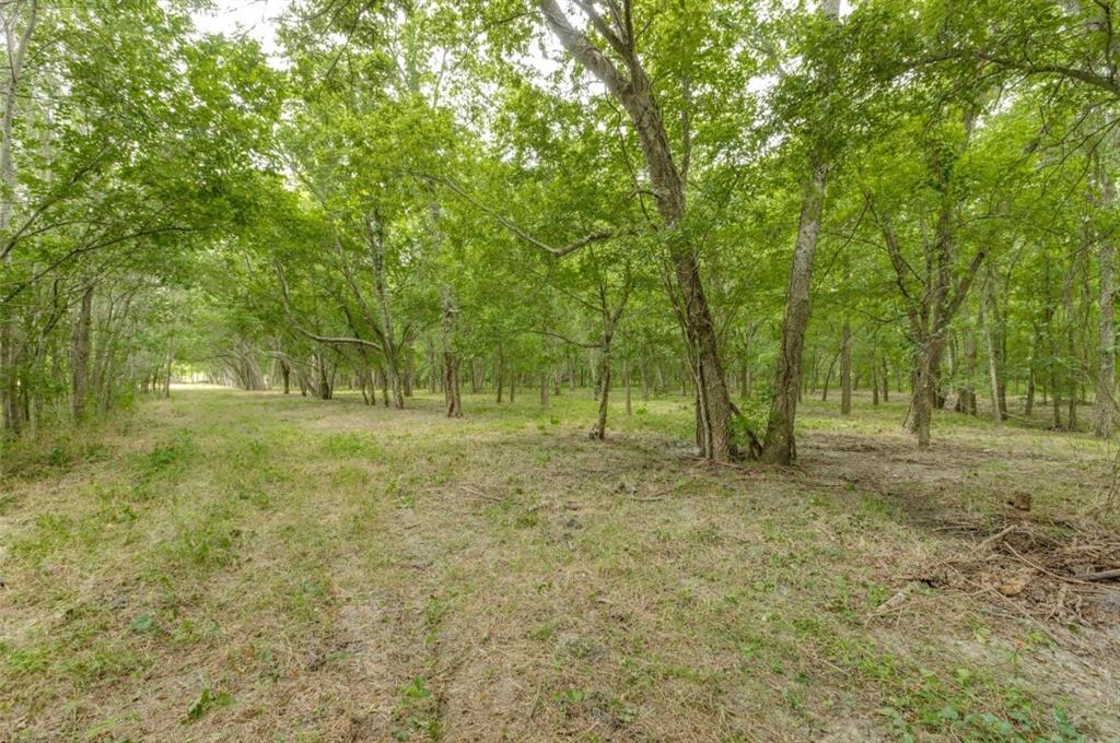3805 County Rd Property Photo 5