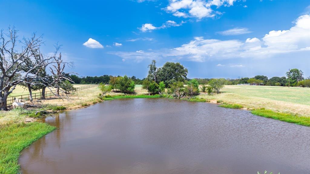 Tbd S State Highway 19 Property Photo 24