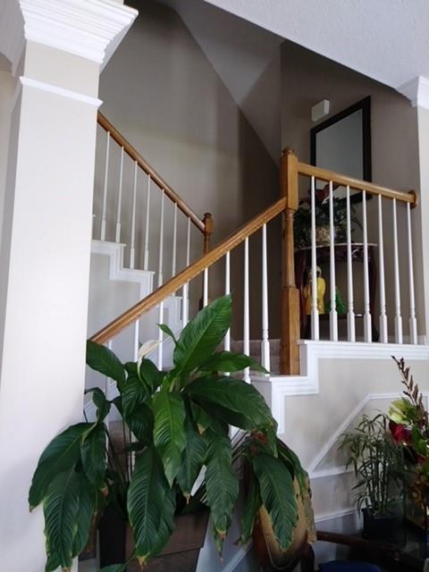1128 Sawsawi Trail Property Photo 5