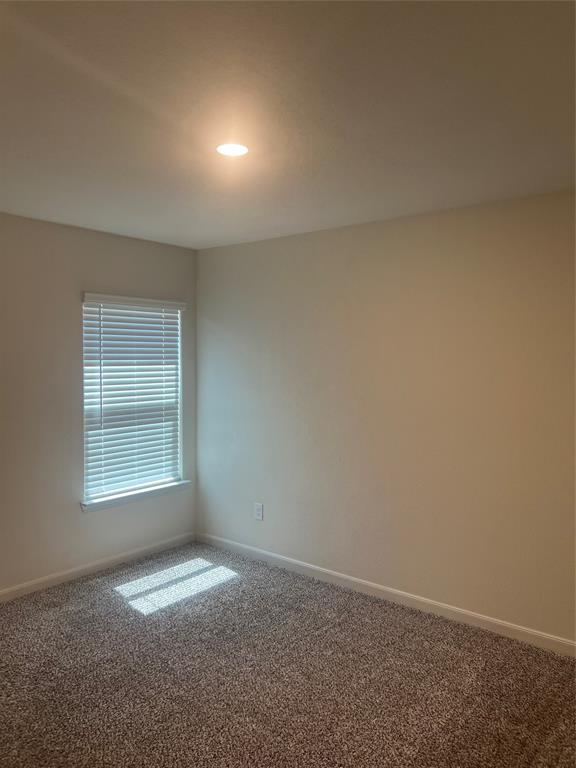 3005 Boran Drive Property Photo 18