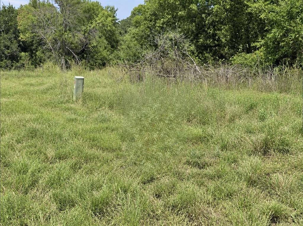 5735 Tin Top Highway Property Photo 4
