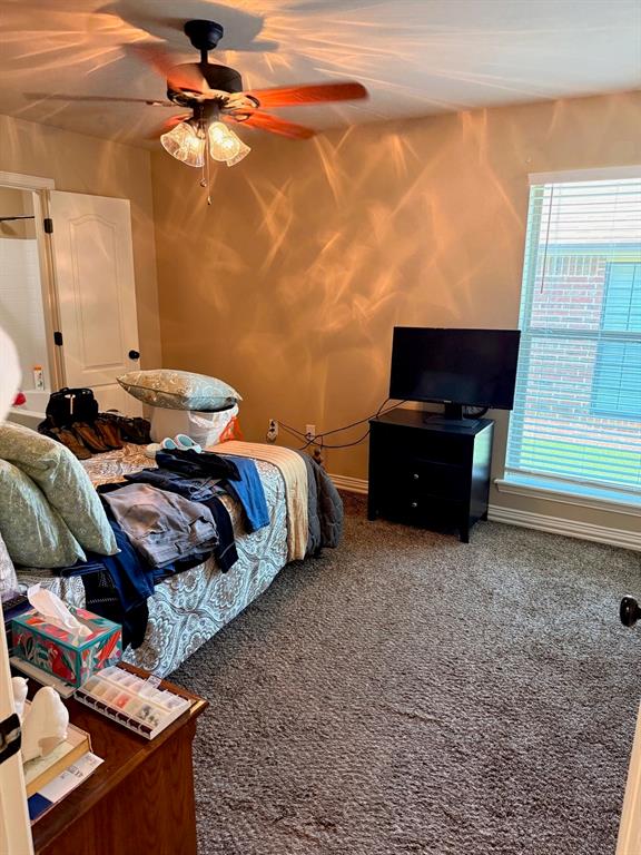 3836 Carrera Lane Property Photo 15