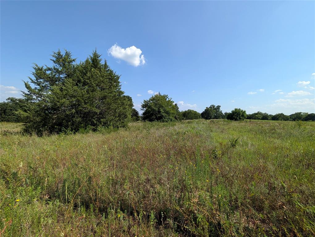 Lot 3 County Road 147 Property Photo 4