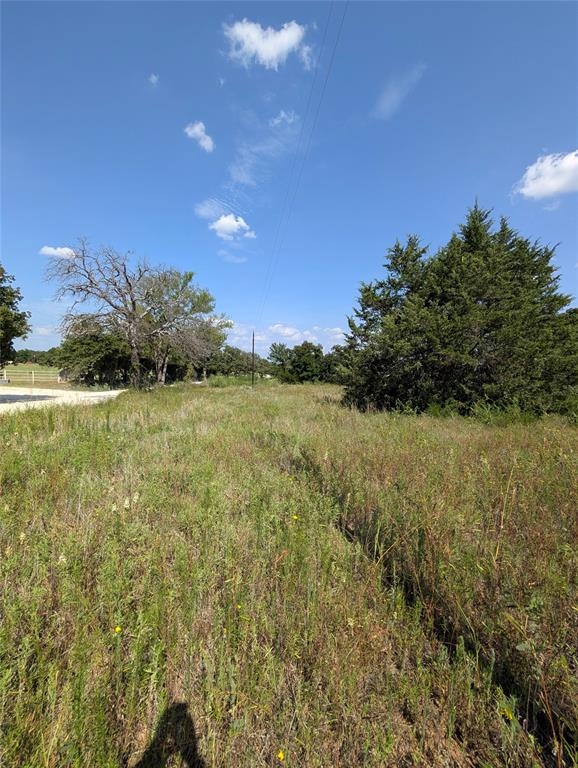 Lot 3 County Road 147 Property Photo 5