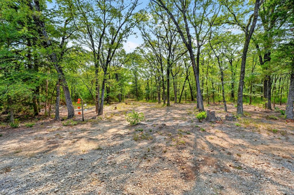 7223 Fm 2101 Property Photo 34