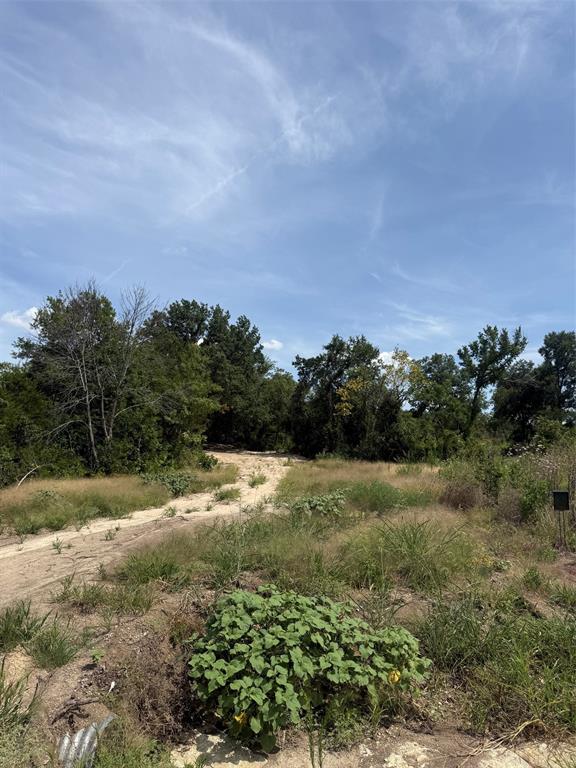 500 Aermotor Loop Property Photo 5
