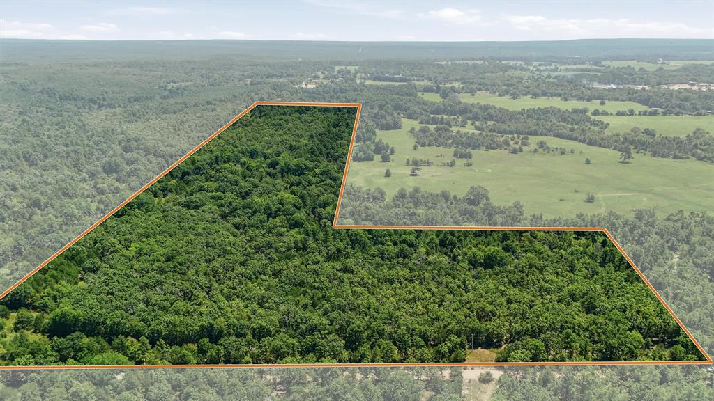 0001 Rattan Trail Property Photo 1