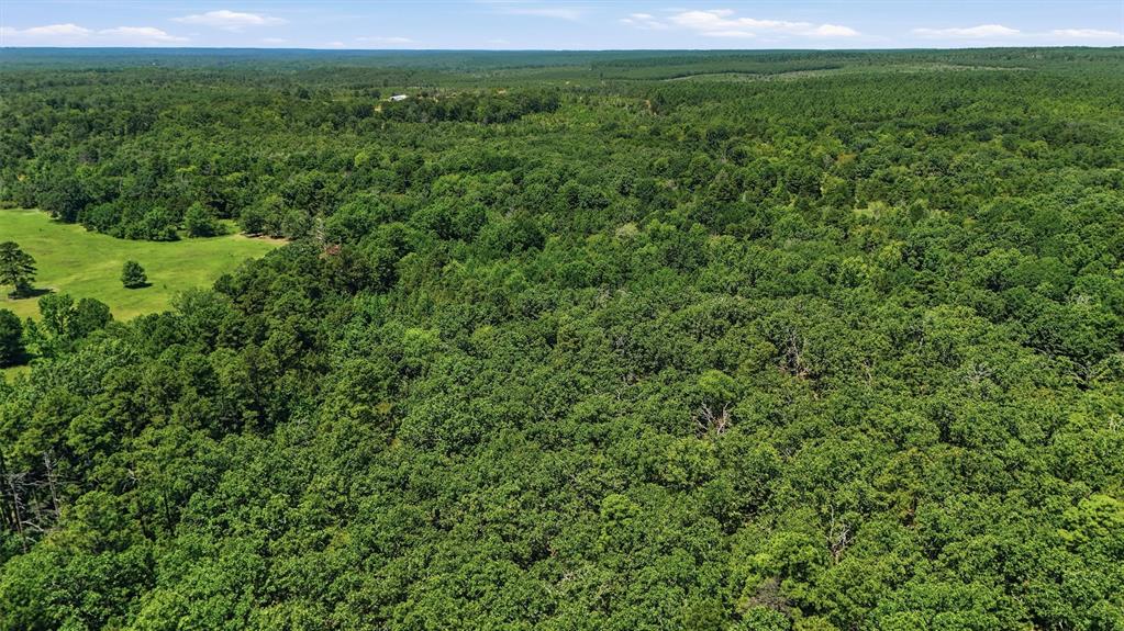 0001 Rattan Trail Property Photo 17