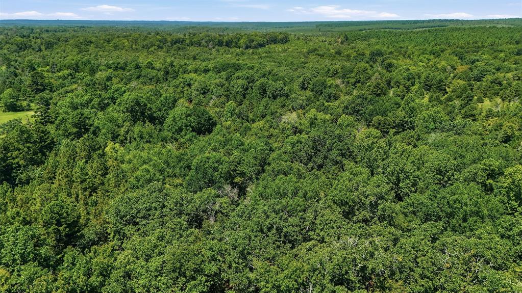 0001 Rattan Trail Property Photo 18