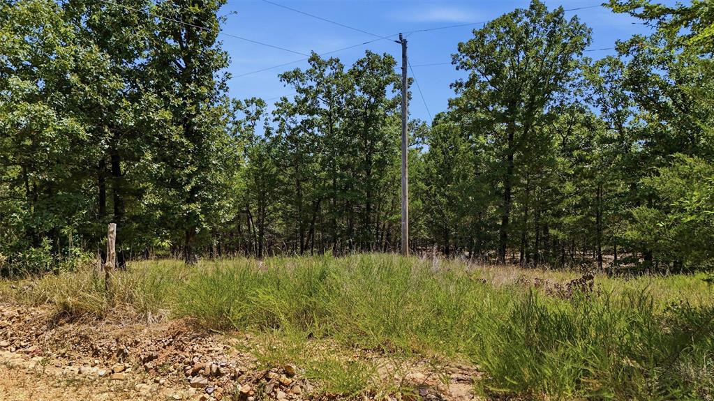 0001 Rattan Trail Property Photo 21