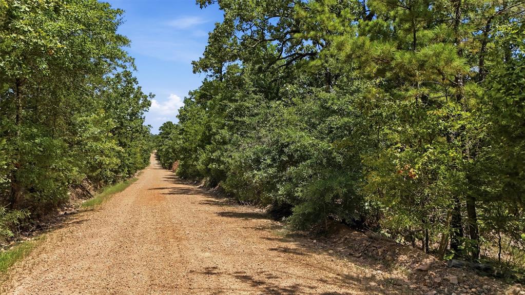 0001 Rattan Trail Property Photo 22