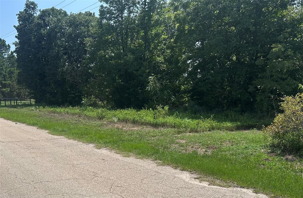 Tbd Cr 3841 Tract 64 Property Photo 1