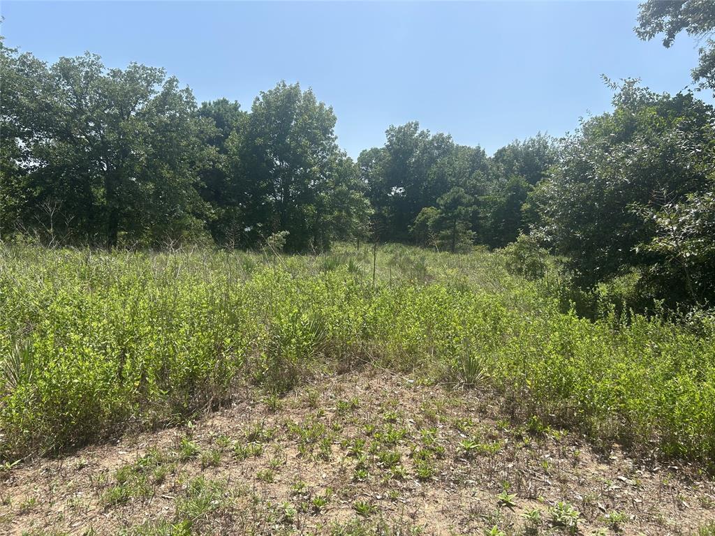 Tbd Cr 3841 Tract 64 Property Photo 3