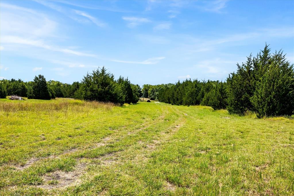 976 Fm 2194 Property Photo 24