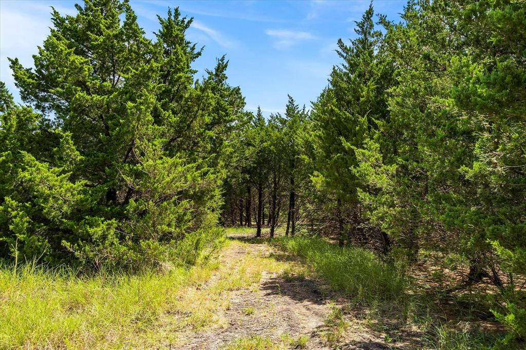 976 Fm 2194 Property Photo 32