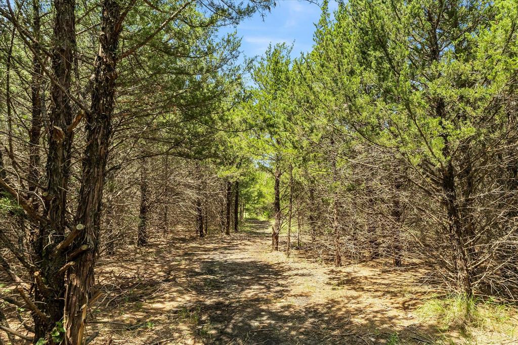 976 Fm 2194 Property Photo 33