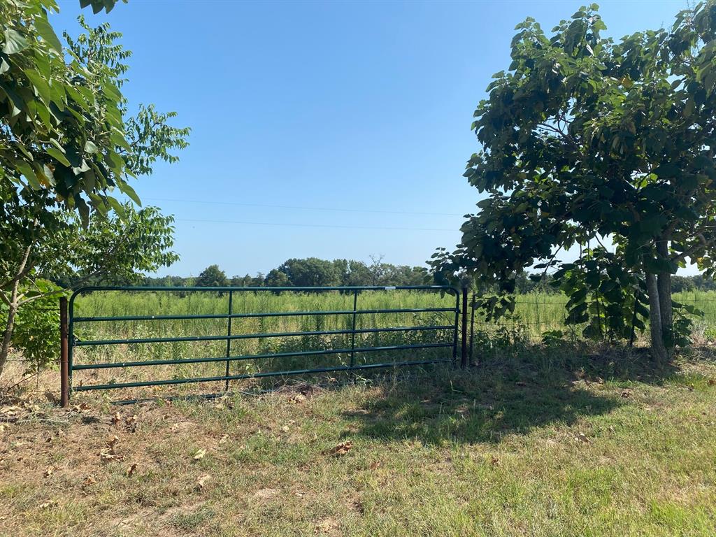 000 CR 1323 Property Photo 1