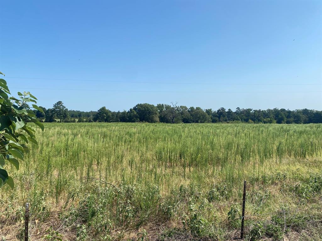 000 Cr 1323 Property Photo 3