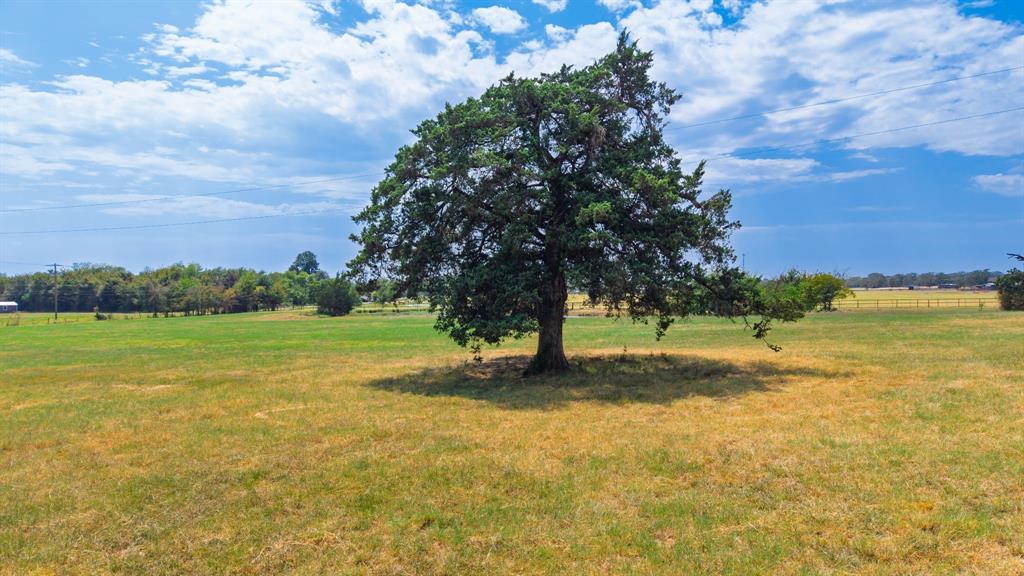 1351 S State Highway 19 Property Photo 29