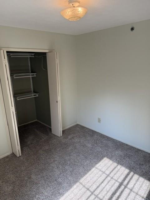 3125 Grapevine Lane Property Photo 12