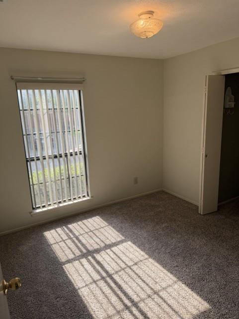 3125 Grapevine Lane Property Photo 13