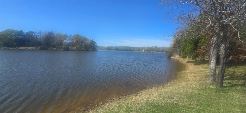 000 Watters Edge Drive Property Photo 6